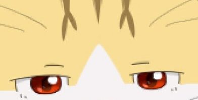 笨猫空冶的博客